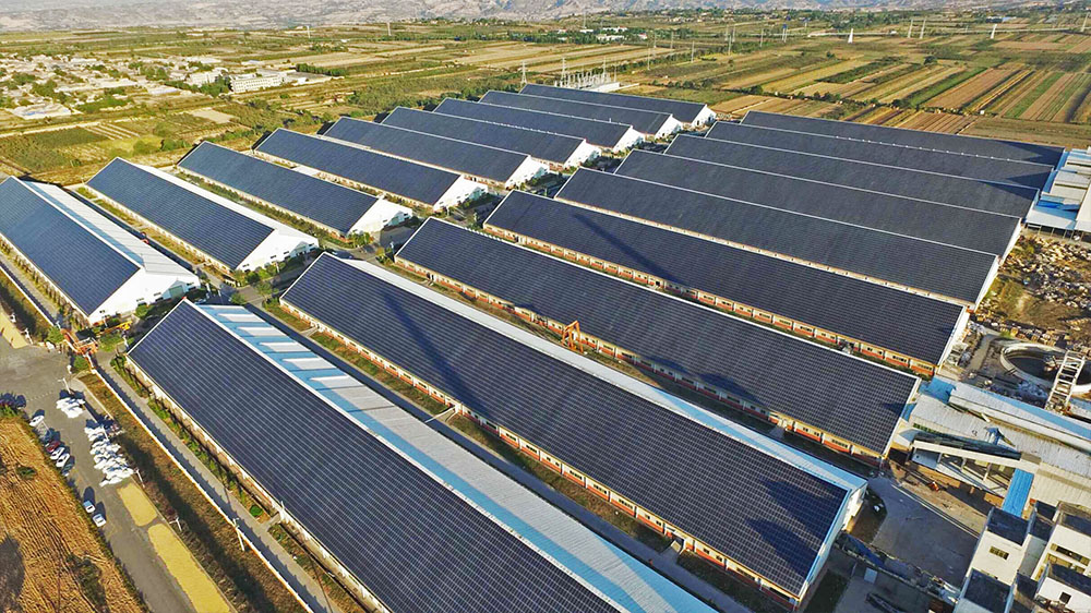 AG���λᡤ(�й���)һ������